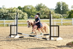 SBM_006210