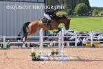BPP_6664