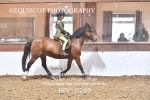 BPP_0249