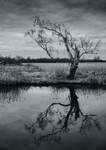 by Andy Farrell 4