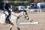 BPP_8806