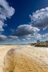 Shell Bay near Studland, Dorset
