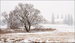 Snow along the River Elbe #5