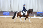 SBM_000301