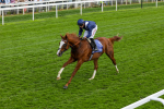 160524-Race 4-Economics-1875