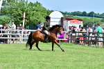 SBM_08020