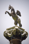 Pegasus II