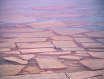 MONET'S TILES - GEORGIAN BAY