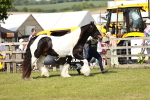 SBM_08760