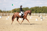 SBM_019276