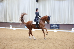 SBM_001649