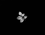 BW23