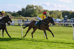 300926-Race 5-Vince Le Prince-6756