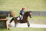 BVHT 140517  IXC -260