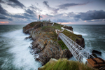 Ynys Lawd - South Stack