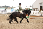 SBM_00626
