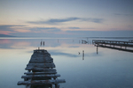 Oyster Piers France 2