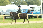 SBM_68073