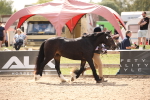 SBM_04548