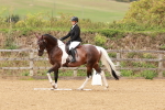 SBM_001918