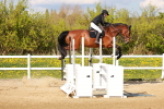 SBM_002448