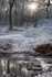 Stepping Stones