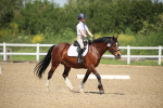 SBM_008792
