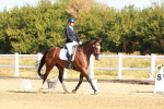 SBM_016530