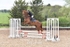 BPP_4184