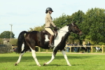SBM_66523
