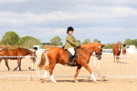 SBM_15458