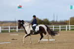 SBM_002225