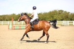SBM_001706