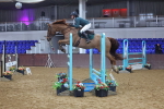SBM_009224