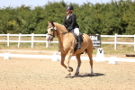 SBM_012215