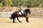 SBM_001489
