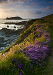 Godrevy Lighthouse