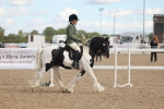 SBM_14641