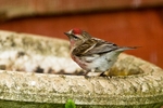 20120519-_MG_9804