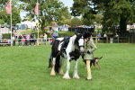 SBM_46948