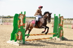 SBM_000658