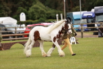 SBM_06039