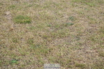 250830A-133637-06219