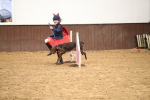 SBM_001293