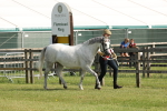 SBM_00771