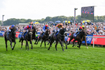 220826-Race 5-Sondad-1089