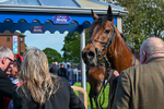 120526-Race 4-Dandy Dinmont-8355