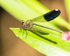 20150612-8E0A9626