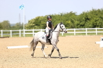 SBM_009087