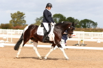 SBM_02015